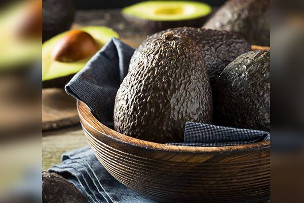 Colombian avocados