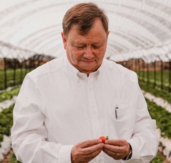 Mexican strawberry industry former president