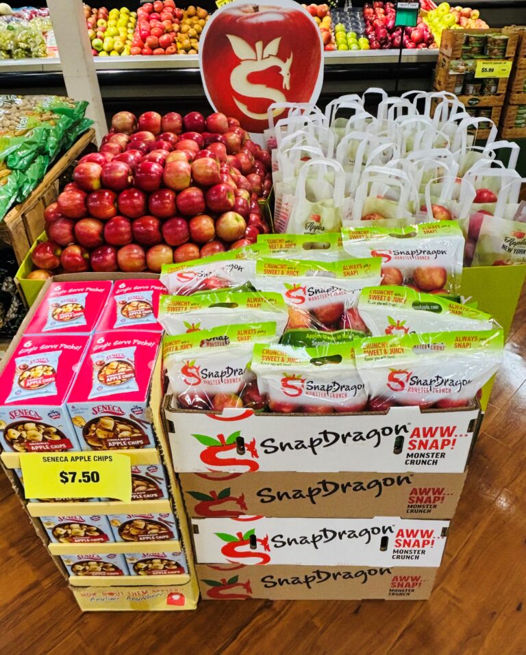 SnapDragon retail display