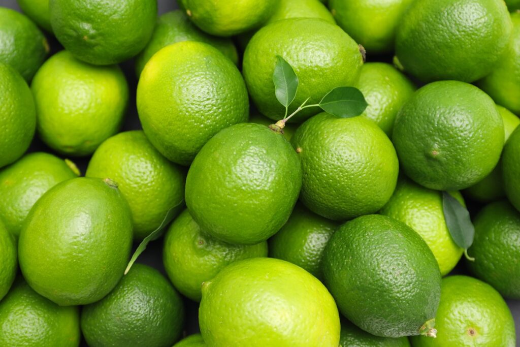 Valencia citrus yields hit 20-year low