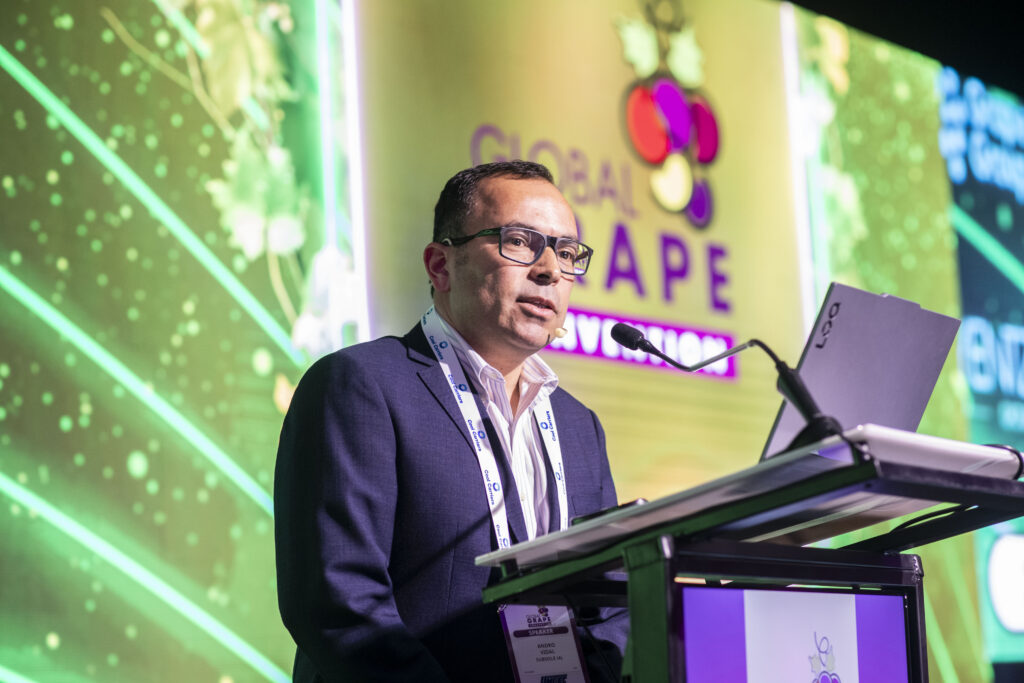 Chilean table grape industry eyes strategic shift to secure competitiveness