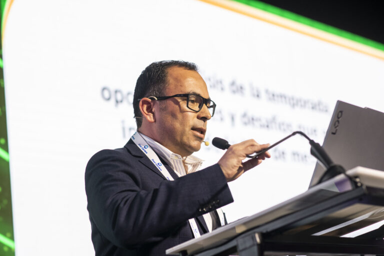 Chilean table grape Subsole Commercial Manager Andro Vidal