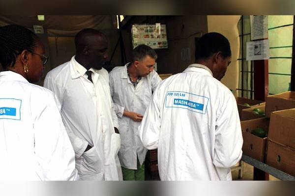 Mashamba produce exports to the gulf