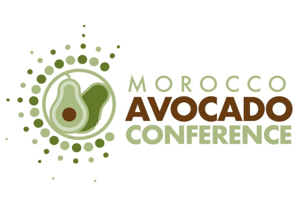 A new international platform for Morocco’s avocado industry 