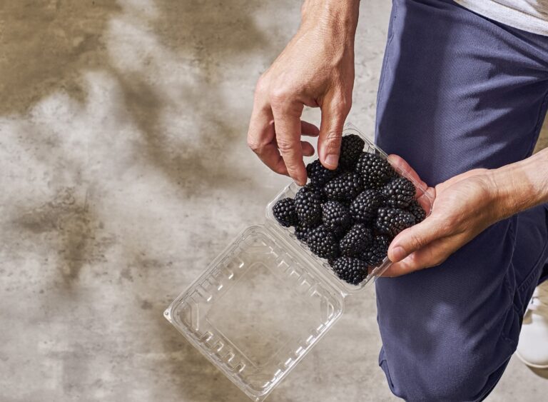 Rejoice blackberries