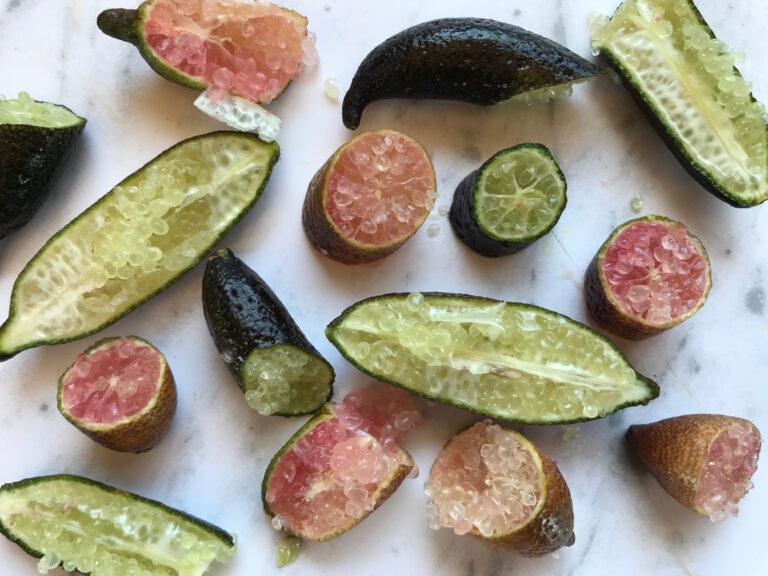 Assorted finger lime varieties