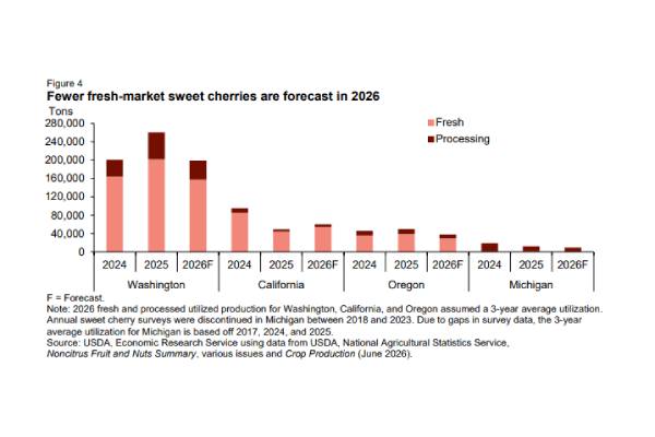 USDA sweet cherry market