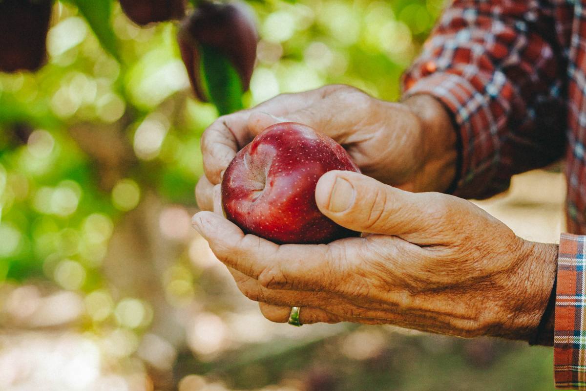 Washington welcomes the 2026/27 apple season with an optimistic outlook