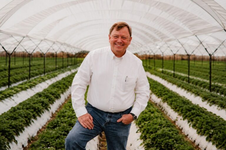 Mexican strawberry industry former president José Luis Bustamante.
