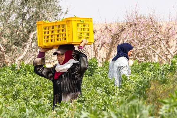 women in horticulture