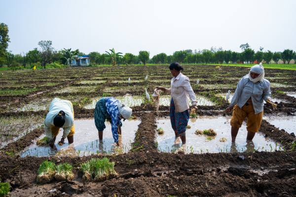 women in horticulture