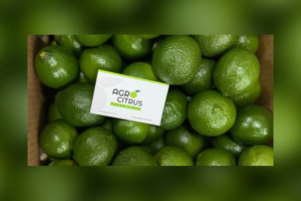 Agrocitrus tahiti limes