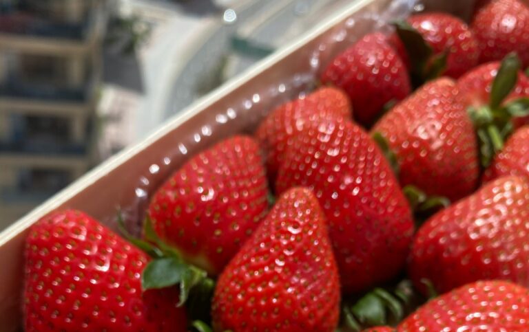 Mexican Strawberry