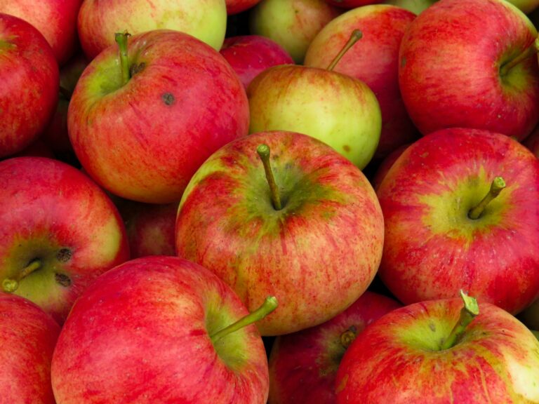 United States apples