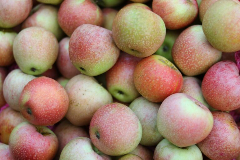 United States apples