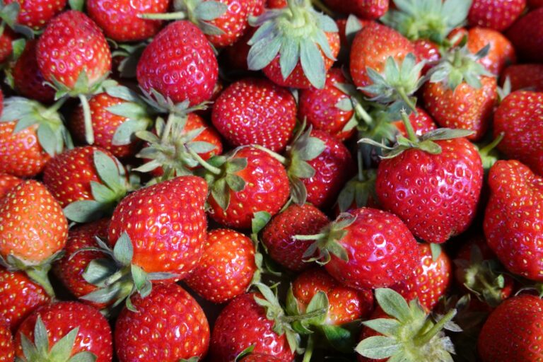 Mexican strawberry