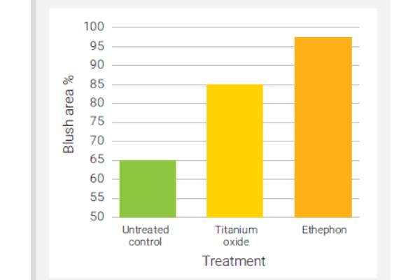 Blush area using titanium dioxide