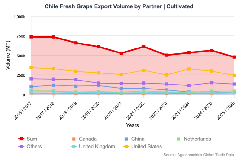 Chilean grapes export