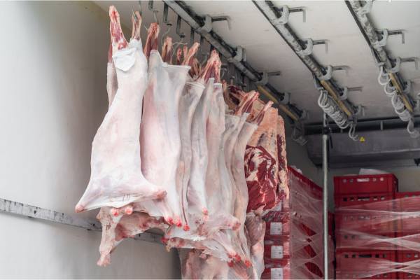 Cold chain storage facility