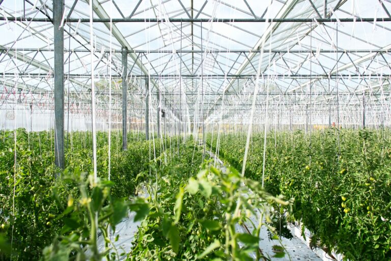 Indoor farming