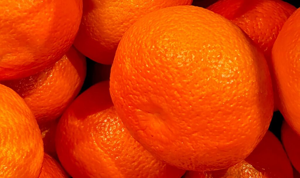 South African citrus export estimate revised down