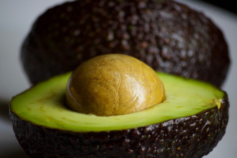 Chilean avocado