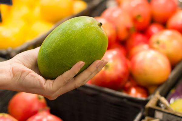hand holding mango