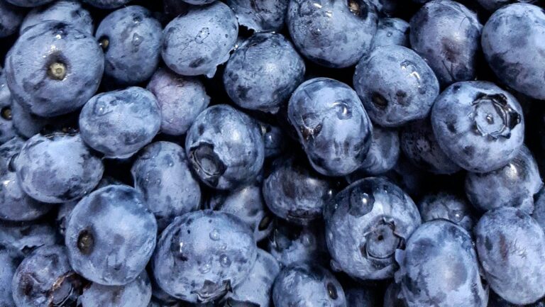 US blueberry imports