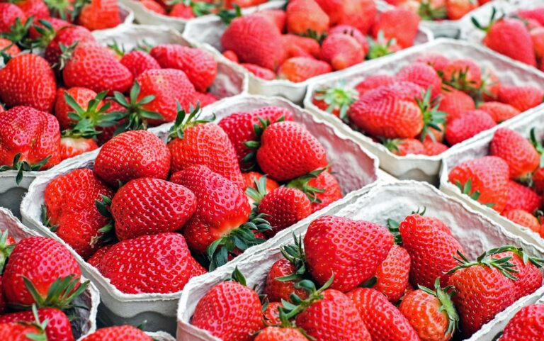 Mexican strawberry