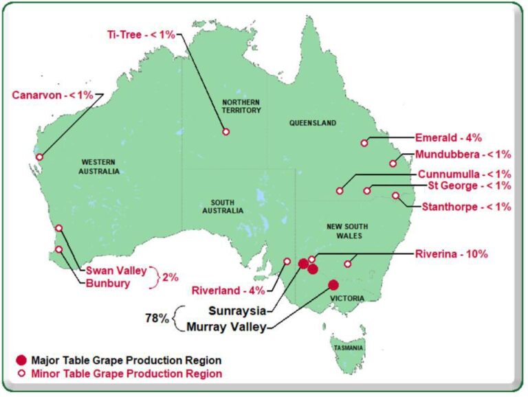 Australian table grapes
