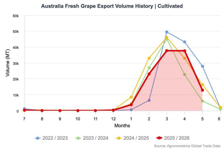 Australian table grapes