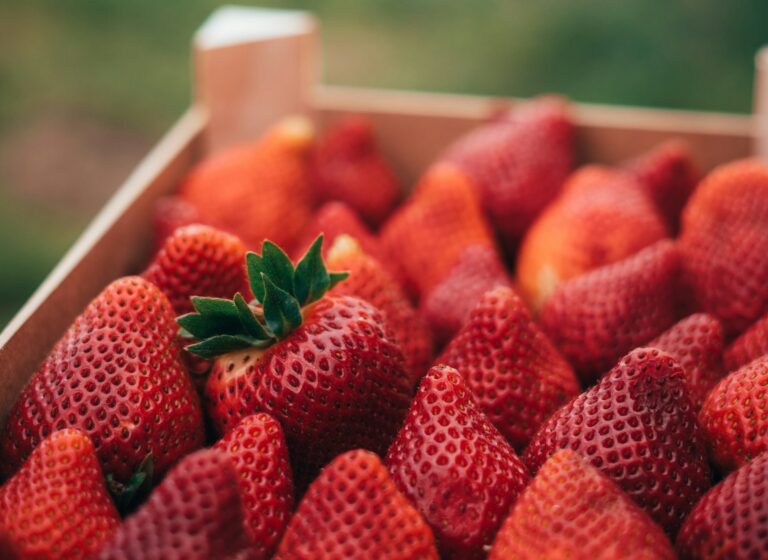 Mexican strawberry