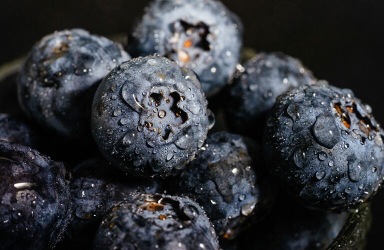 blueberry recal