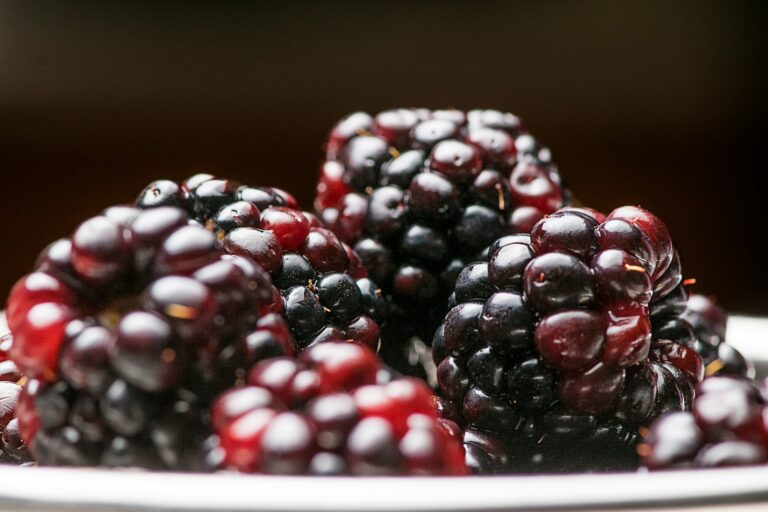 blackberries