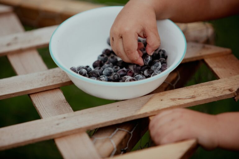 frozen blueberry recall