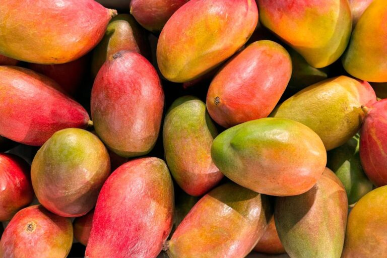 ripe mangoes