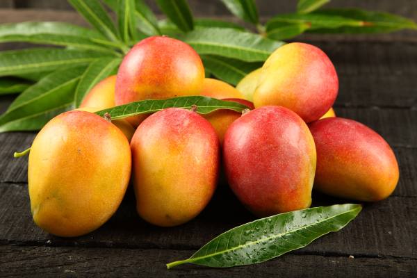 mango on table