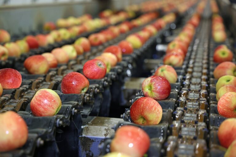 apples on line