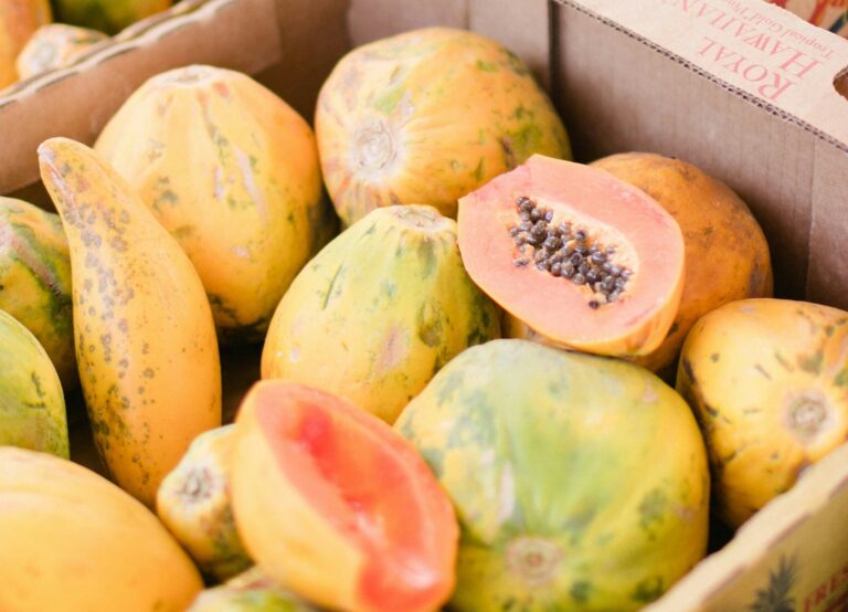 Hawaiian papaya