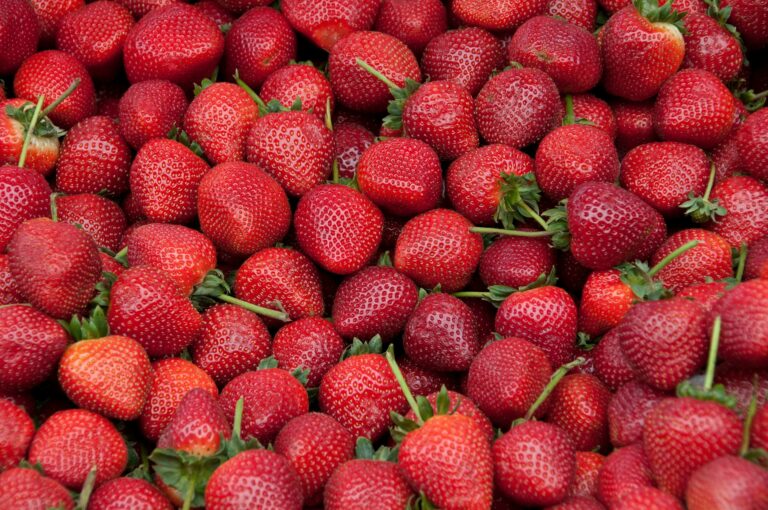Mexican strawberry