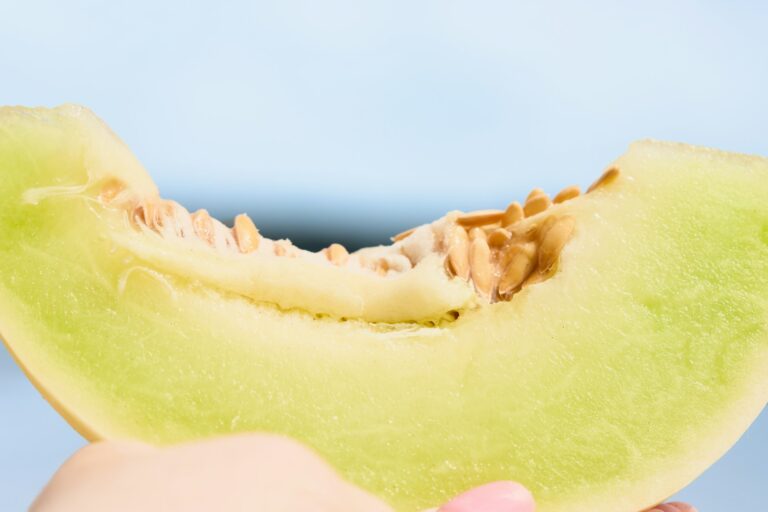 US melon season