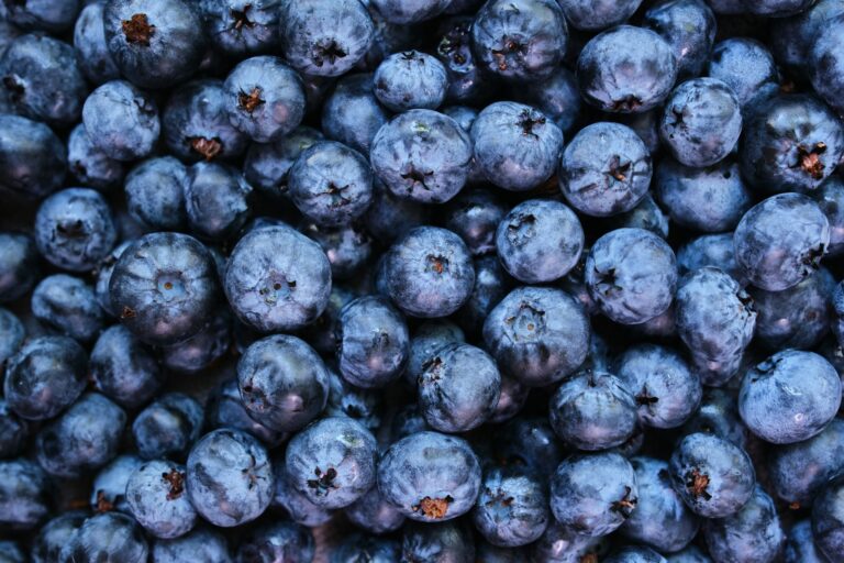 US blueberry imports