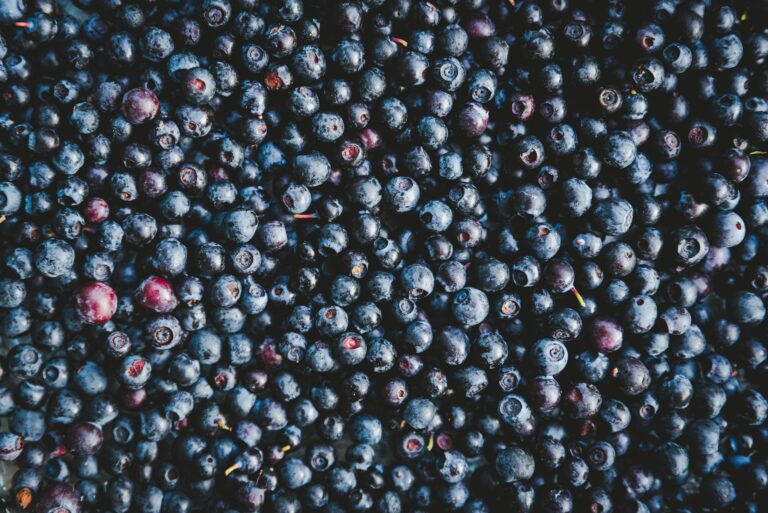 US blueberry imports