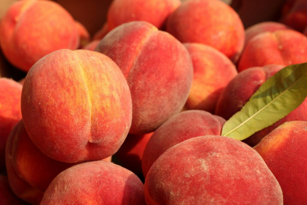 California peach yields to drop 10 percent amid processing struggles