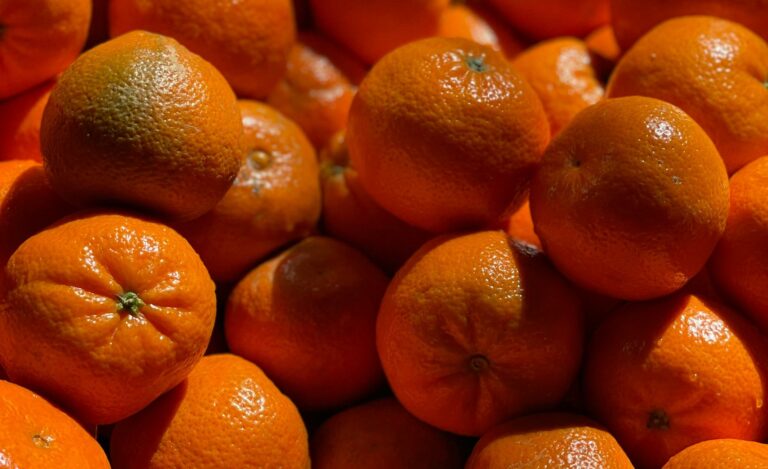 South African citrus