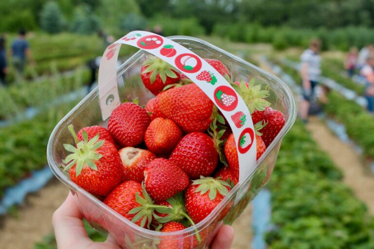 Sustainable packaging