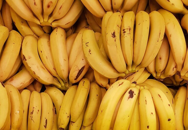 Ecuadorian banana