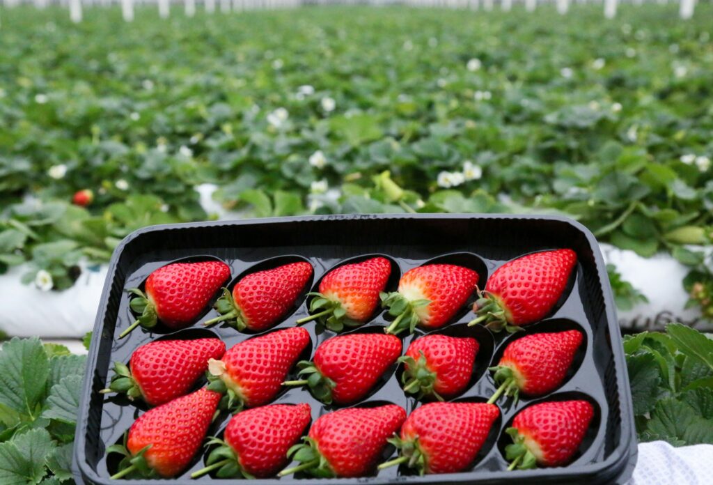 Sustainable packaging market to hit $72B by 2034
