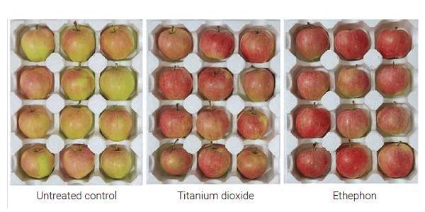 titanium dioxide treatment