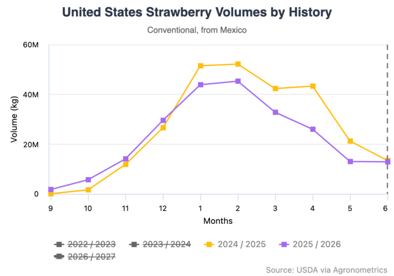 Mexican strawberry exports